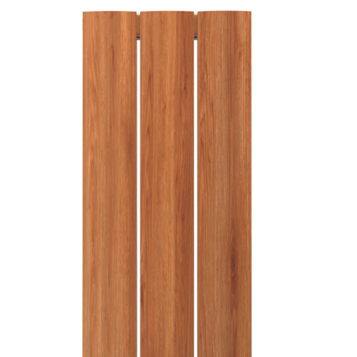 Slide 6
